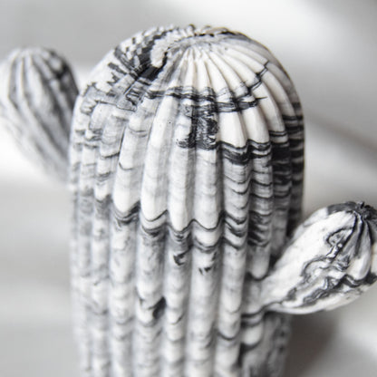 Dawn Jesmonite Cactus - Black Swirls