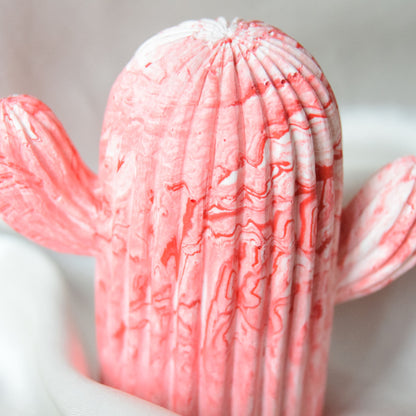 Dawn Jesmonite Cactus - Red Swirls